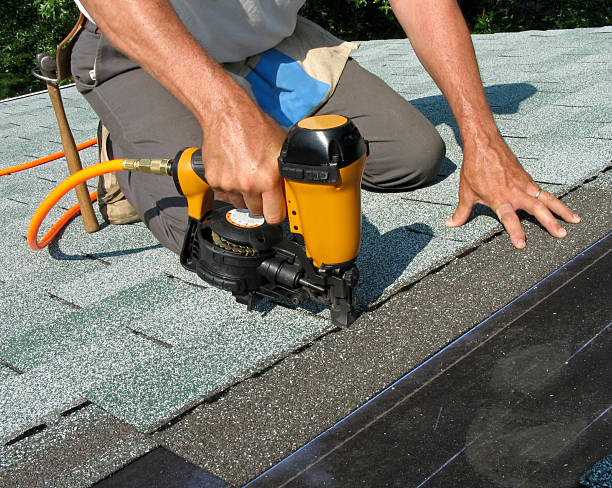 Best Roof Leak Repair  in St Johns, AZ