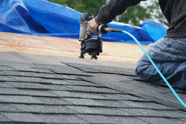 Best Commercial Roofing Services  in St Johns, AZ