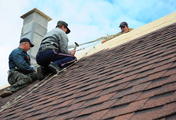 Best New Roof Installation  in St Johns, AZ